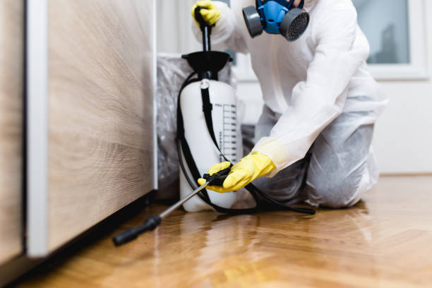 Best Best Pest Control Companies  in Pocahontas, AR