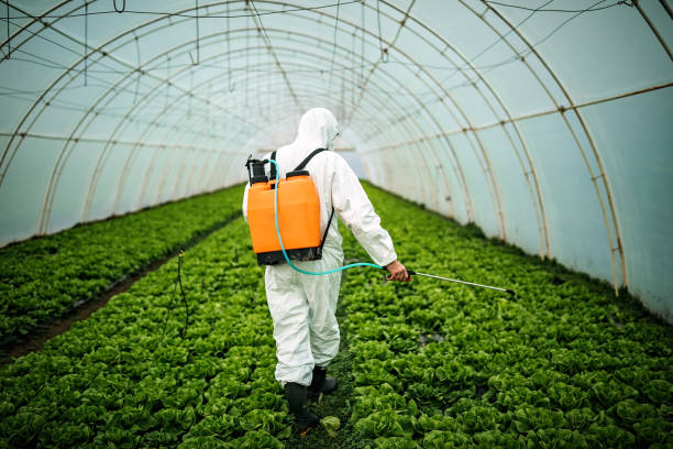 Best Mosquito Control Services  in Pocahontas, AR