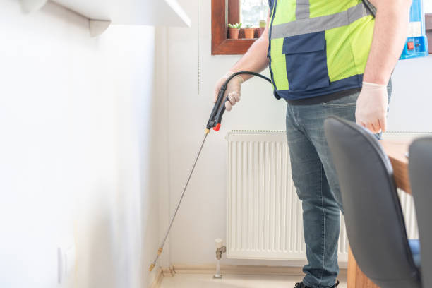 Best Local Pest Control Services  in Pocahontas, AR