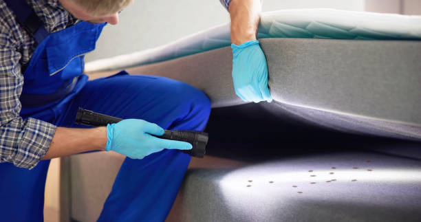 Best Residential Pest Control  in Pocahontas, AR