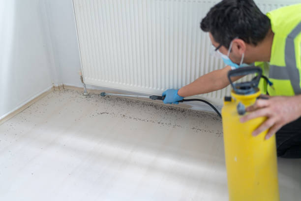 Best Exterminator Services  in Pocahontas, AR