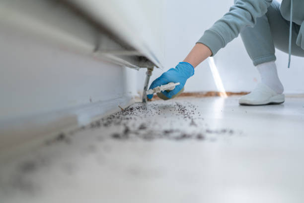 Wildlife Control Services in Pocahontas, AR