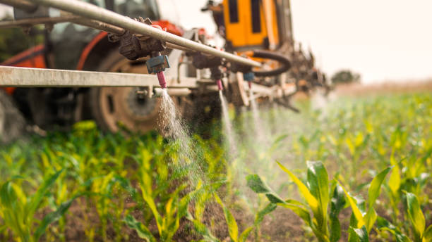 Best Affordable Exterminators  in Pocahontas, AR